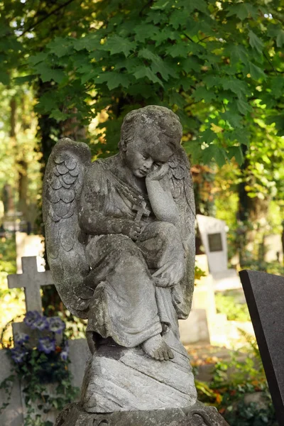 Vacker Staty Ängel Kyrkogården Solig Dag Utrymme För Text Begravning — Stockfoto