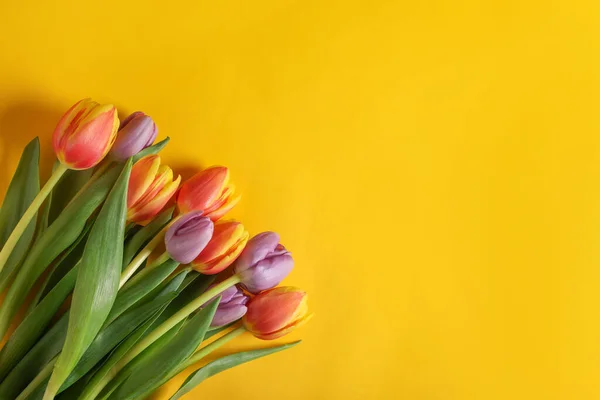 Veel Mooie Tulpen Gele Achtergrond Plat Gelegd Ruimte Voor Tekst — Stockfoto