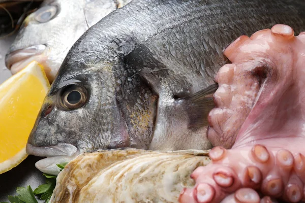 stock image Fresh raw dorado fish, octopus and oyster on grey table, closeup