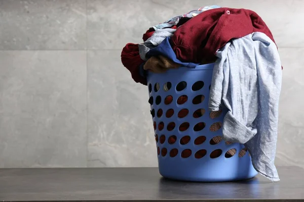 Laundry basket with clothes near grey wall. Space for text
