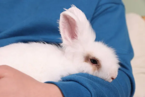 Man Med Söt Fluffig Vit Sällskapsdjur Kanin Inomhus Närbild — Stockfoto