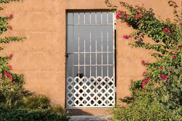 Hermosas Plantas Flor Cerca Entrada Casa Con Puerta Metal Blanco — Foto de Stock