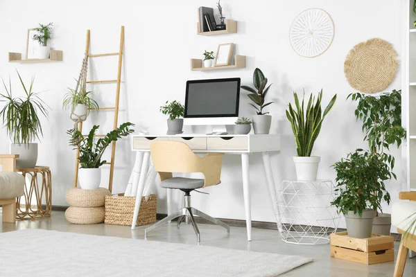 stock image Comfortable workplace with modern computer and different houseplants in room