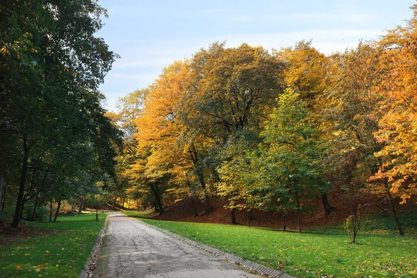 Weg Grünes Gras Und Bäume Wunderschönen Park Einem Herbsttag — Stockfoto