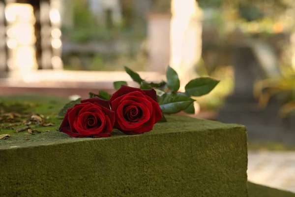 Czerwone Róże Szarym Nagrobku Zewnątrz Słoneczny Dzień Miejsce Tekst Ceremonia — Zdjęcie stockowe