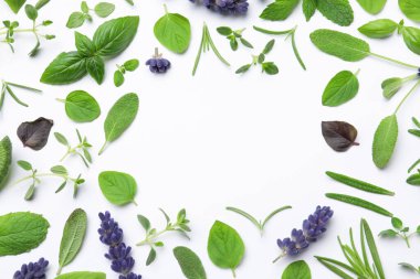 Çerçeve beyaz arka planda farklı aromatik otlarla yapılmış, düz. Metin için boşluk