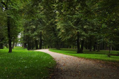 Yolları ve yeşil çimenleri olan güzel bir şehir parkı