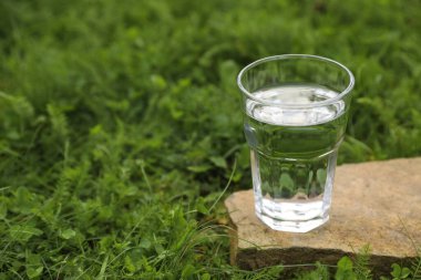 Açık havada yeşil çimlerde, taşın üzerinde bir bardak taze su. Metin için boşluk