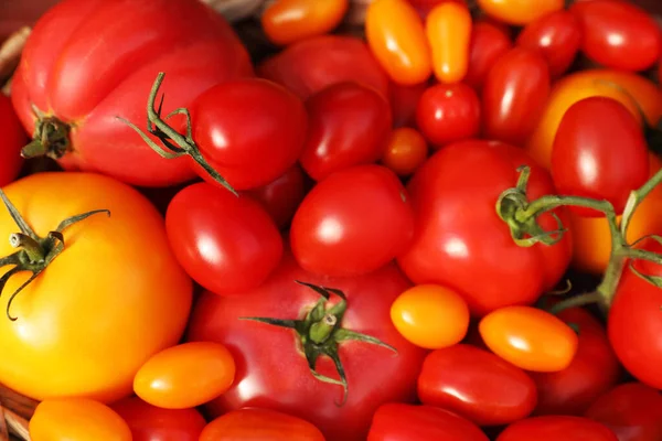 おいしい新鮮なトマトを背景に トップビュー — ストック写真