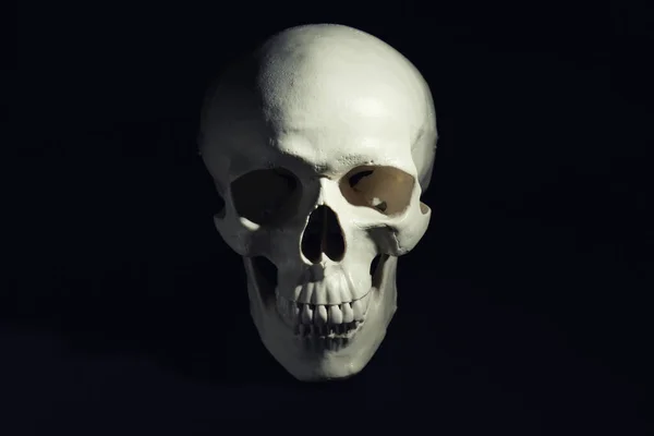 Cráneo Humano Blanco Con Dientes Sobre Fondo Negro —  Fotos de Stock