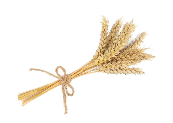 Bunch Dried Wheat White Background Top View — Stock Photo, Image
