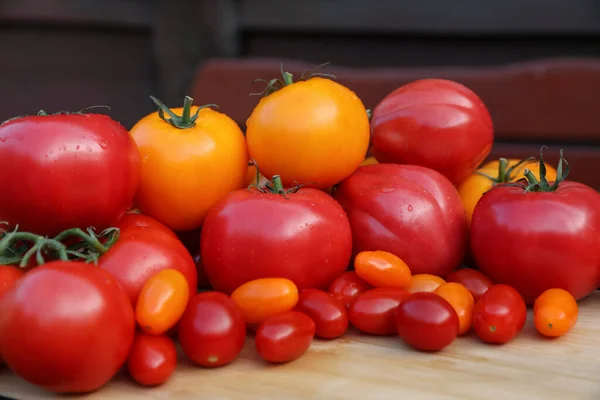 Różne Rodzaje Pomidorów Drewnianym Stole — Zdjęcie stockowe