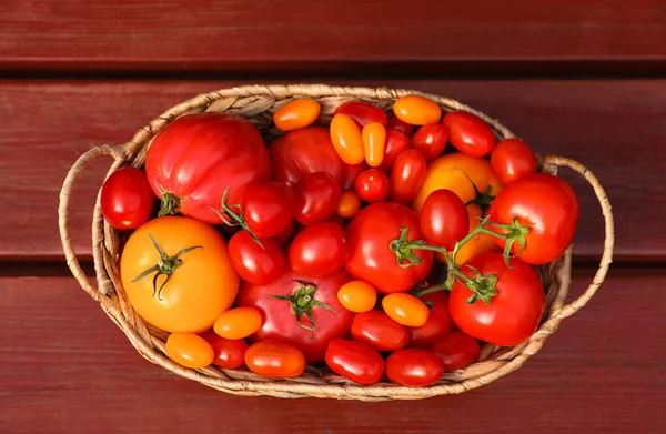 木のテーブルの上に新鮮なトマトとウィッカーバスケット トップビュー — ストック写真
