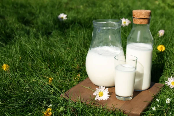 Скляний Посуд Свіжим Молоком Зеленій Траві Відкритому Повітрі Простір Тексту — стокове фото