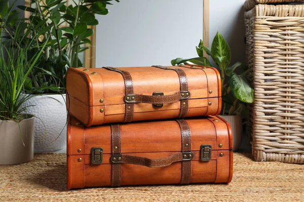 Güzel Kahverengi Bavullar Halının Içinde — Stok fotoğraf