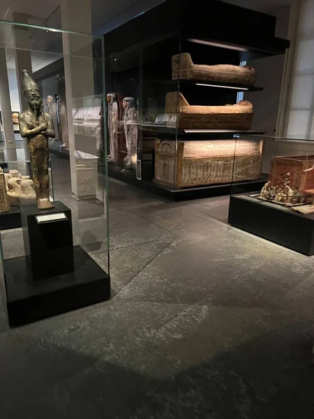 Leiden Netherlands August 2022 Hall Ancient Egypt National Museum Antiquities — стокове фото