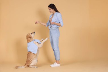 Happy woman playing with cute Labrador Retriever against beige background. Space for text clipart