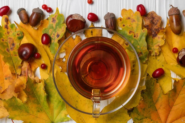 Різні Осінні Листя Жолуді Каштани Червоні Ягоди Чашка Смачного Чаю — стокове фото