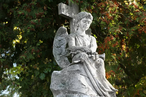 Piękny Posąg Anioła Cmentarzu Symbol Religijny — Zdjęcie stockowe