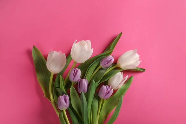 Πολλές Όμορφες Τουλίπες Ροζ Φόντο Επίπεδη Lay — Φωτογραφία Αρχείου