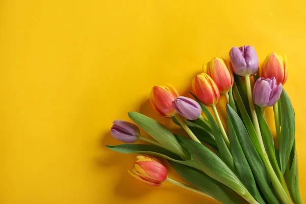 Veel Mooie Tulpen Gele Achtergrond Plat Gelegd Ruimte Voor Tekst — Stockfoto