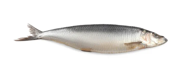 Tuzlu Ringa Balığının Tamamı Beyazda Izole Edilmiş — Stok fotoğraf