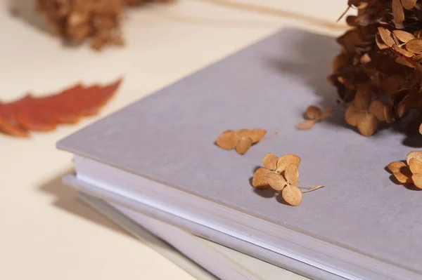 Kurumuş Hortensiya Çiçekleri Bej Masadaki Kitaplar Yakın Plan Metin Için — Stok fotoğraf