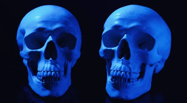 Két Kék Emberi Koponya Fekete Háttérrel — Stock Fotó