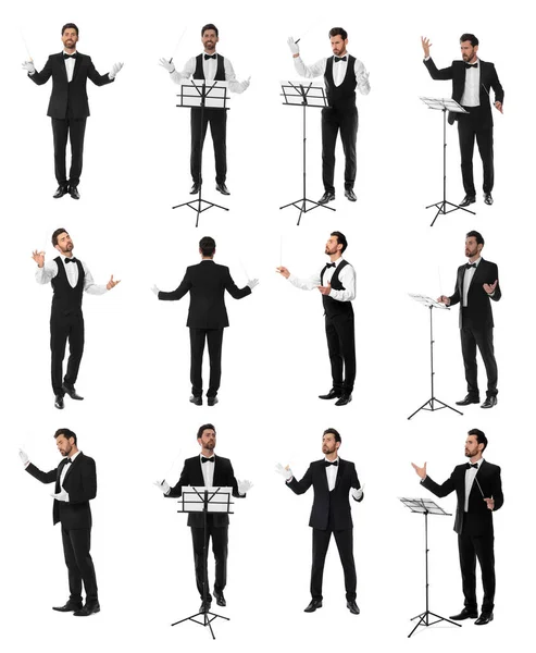 Collage Photos Professional Young Conductor Baton White Background — Stock Photo, Image