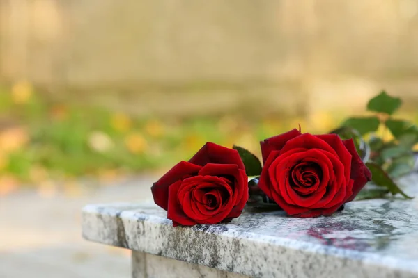 Червоні Троянди Гранітному Надгробку Відкритому Повітрі Місце Тексту Церемонія Похорону — стокове фото