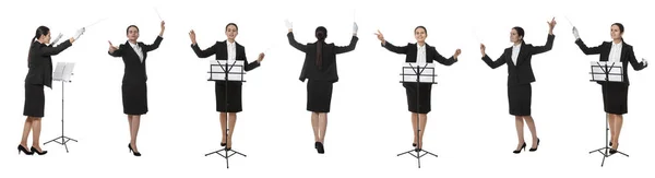 Collage Photos Professional Young Conductor Baton White Background Banner Design — Stock Photo, Image