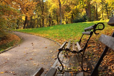 Tahta banklar, patika, düşen yapraklar ve ağaçlar sonbahar günü güzel parklarda.