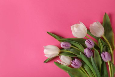 Pembe arka planda bir sürü güzel lale var. Metin için boşluk