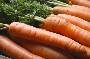 Many tasty fresh carrots as background, closeup