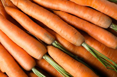 Many tasty fresh carrots as background, closeup