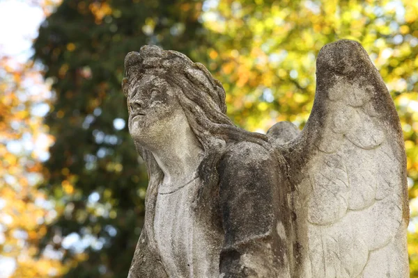 Belle Statue Ange Cimetière Gros Plan Symbole Religieux — Photo
