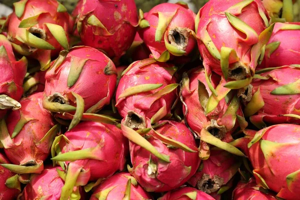 Montón Deliciosas Pitahayas Frescas Maduras Primer Plano —  Fotos de Stock