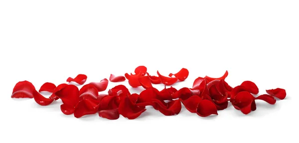 Frische Rote Rosenblätter Auf Weißem Hintergrund — Stockfoto