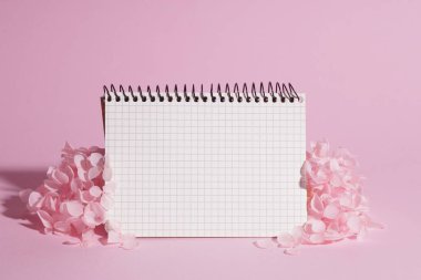 Güzel hortensiya çiçekleri ve pembe arka planda bir defter. Metin için boşluk