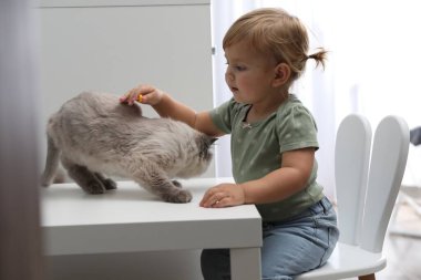 Beyaz masadaki sevimli evcil hayvanı olan sevimli küçük çocuk.