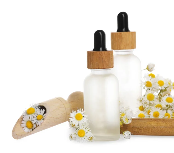 Bottles Chamomile Essential Oil Flowers White Background —  Fotos de Stock