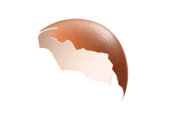 Shell Egg Isolated White Background — Stock Photo, Image