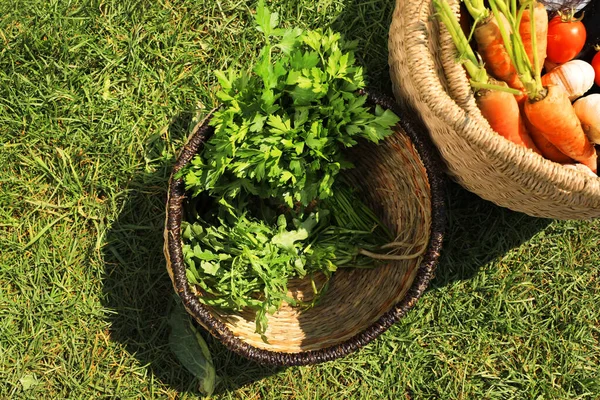 Verschiedene Schmackhafte Gemüse Und Kräuter Weidenkörben Auf Grünem Gras Freien — Stockfoto