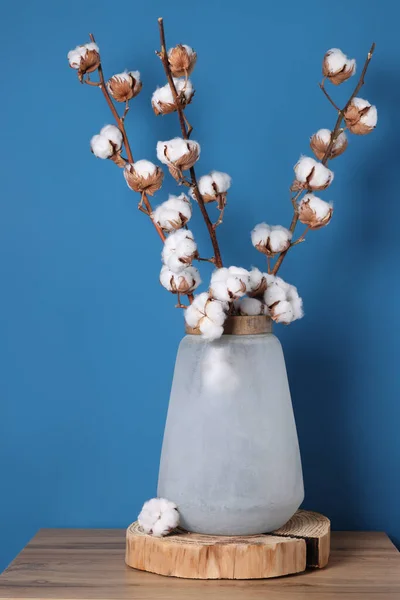 Bomull Grenar Med Fluffiga Blommor Vas Träbord Mot Ljusblå Bakgrund — Stockfoto