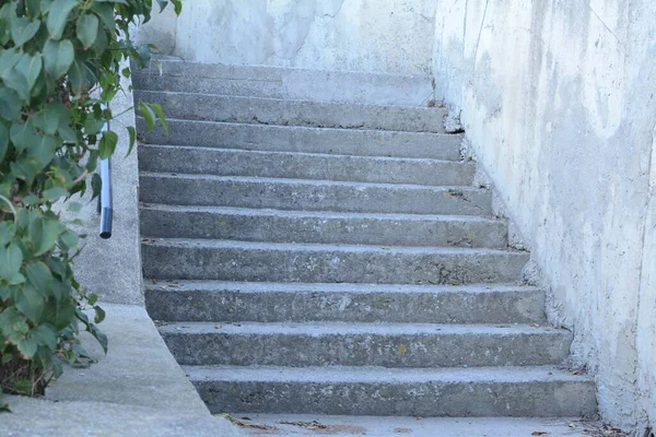 Yeşil Bitkilerin Yakınındaki Boş Eski Merdivenlerin Manzarası — Stok fotoğraf