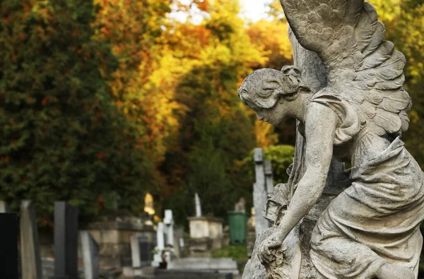 Прекрасна Статуя Ангела Цвинтарі Місце Тексту Церемонія Похорону — стокове фото