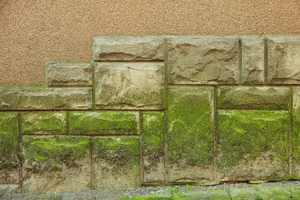 Vista Parede Pedra Com Musgo Verde Livre Close — Fotografia de Stock