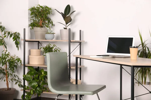 Piękne Miejsce Pracy Laptopem Drewnianym Stole Krzesłem Roślinami Domowymi Pokoju — Zdjęcie stockowe
