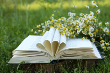 Açık kitap ve papatyalar, tahta kütükler, kapalı kapılar.