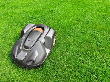Modern robot lawn mower on green grass in garden